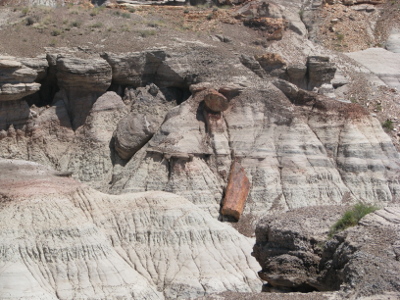 Petrified Forest National Park, Arizona, February 2011
